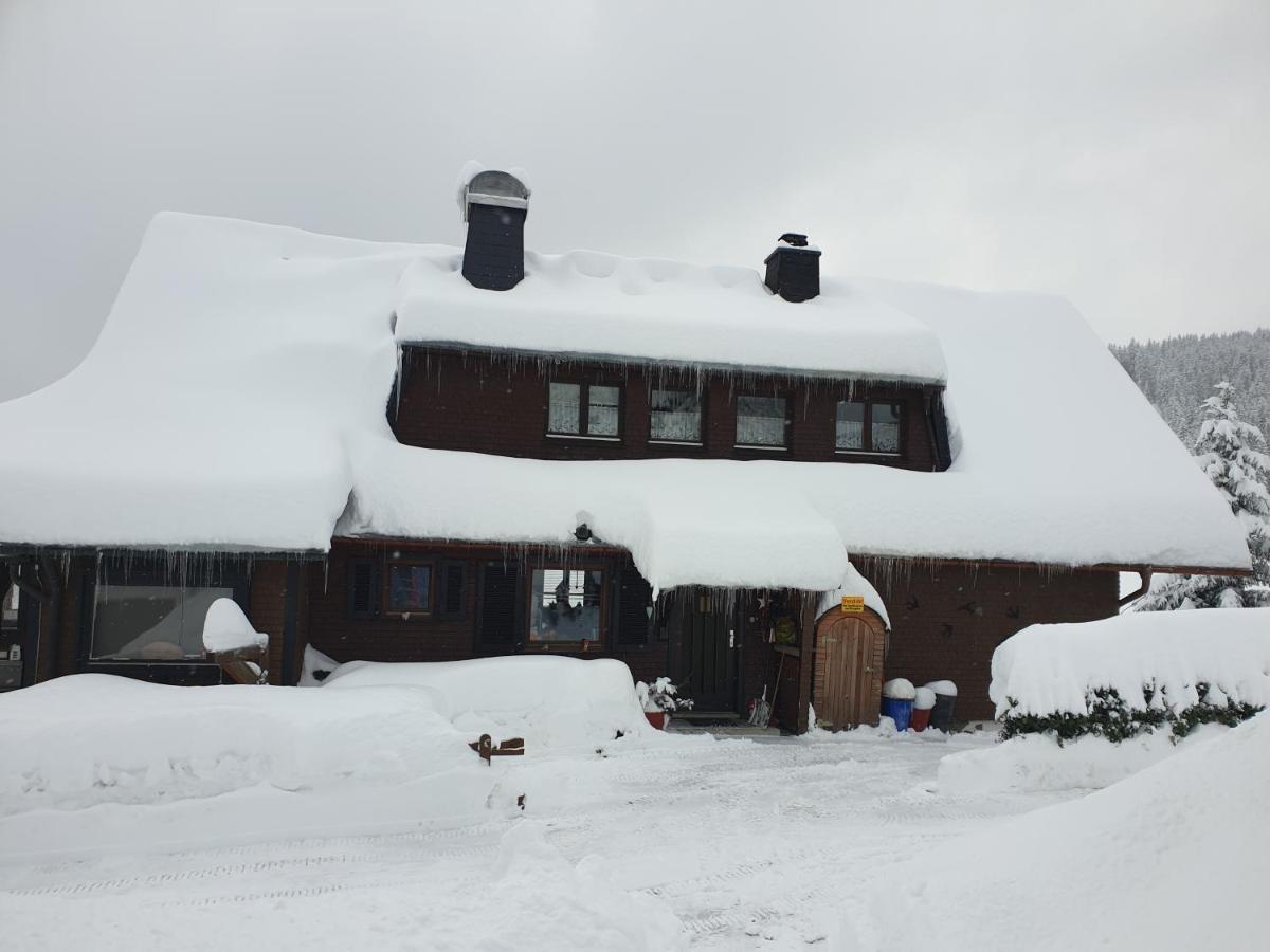 Am Sommerberg - Greschuk Apartments Feldberg  Zewnętrze zdjęcie