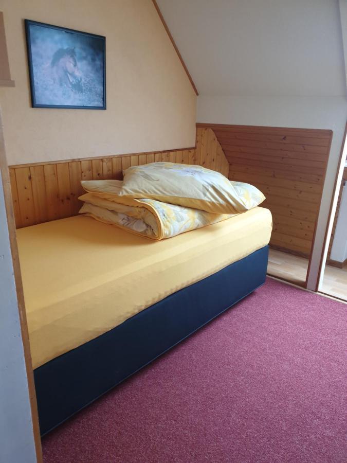Am Sommerberg - Greschuk Apartments Feldberg  Zewnętrze zdjęcie