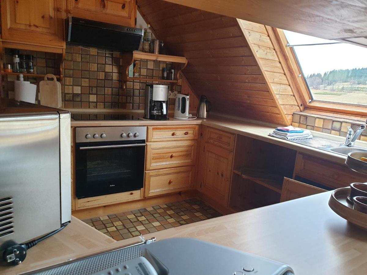 Am Sommerberg - Greschuk Apartments Feldberg  Zewnętrze zdjęcie