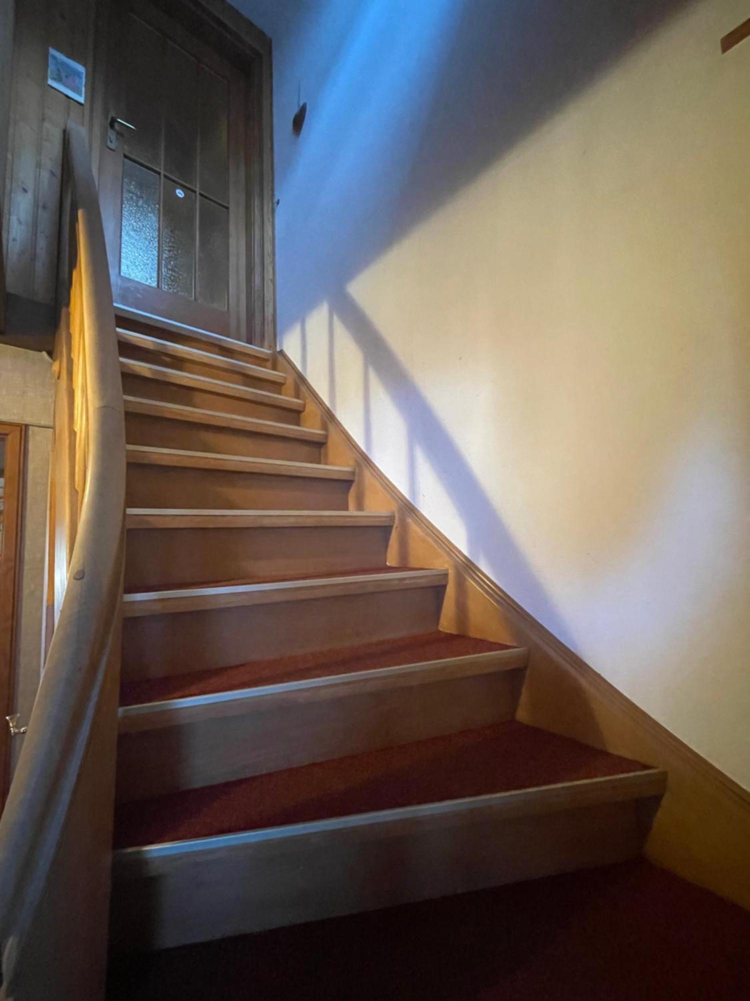 Am Sommerberg - Greschuk Apartments Feldberg  Zewnętrze zdjęcie