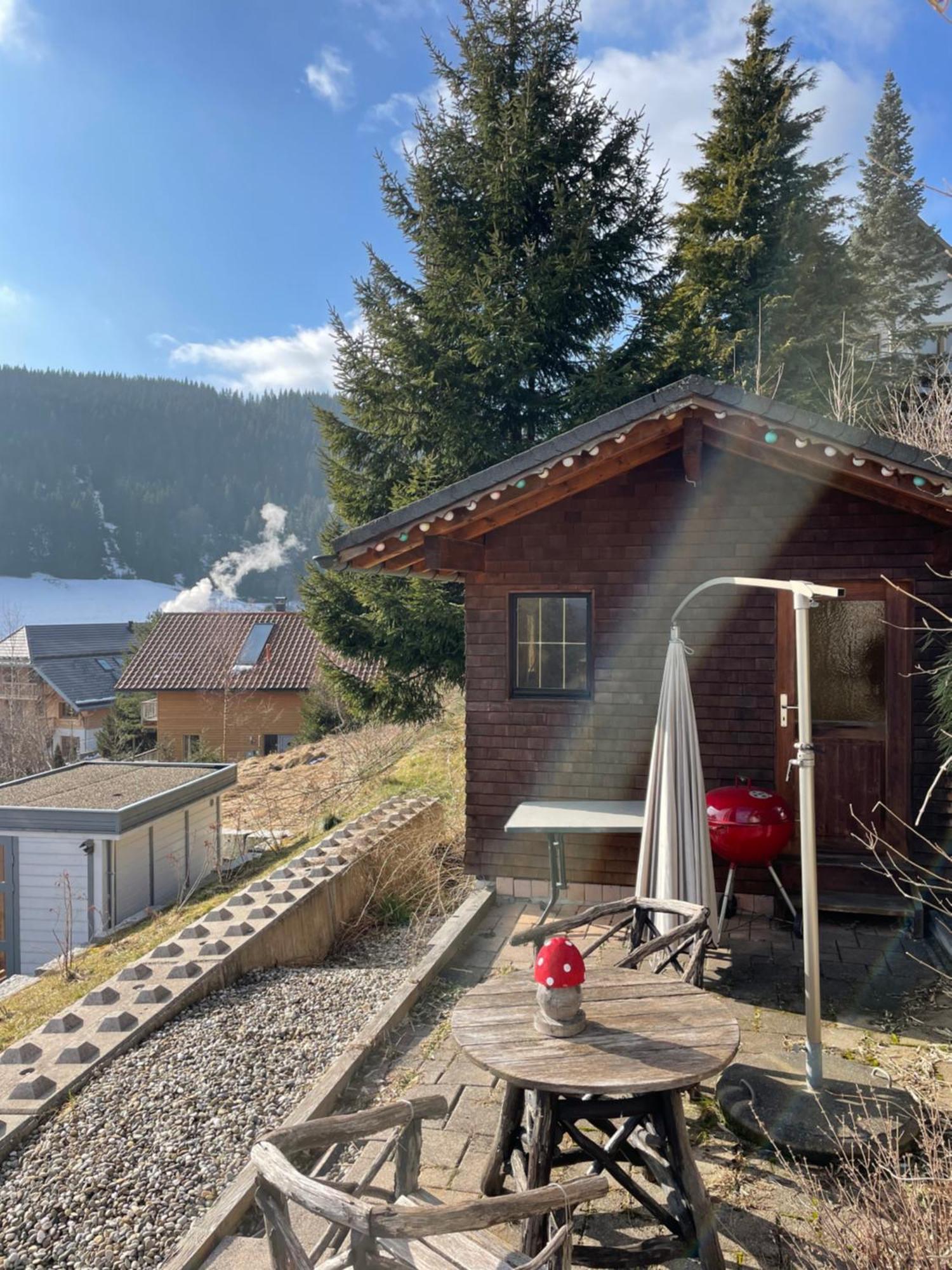 Am Sommerberg - Greschuk Apartments Feldberg  Zewnętrze zdjęcie